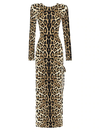Laori  Leopard  Maxi  Dress
